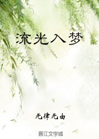 流光入夢/假如重生是場夢（流光）